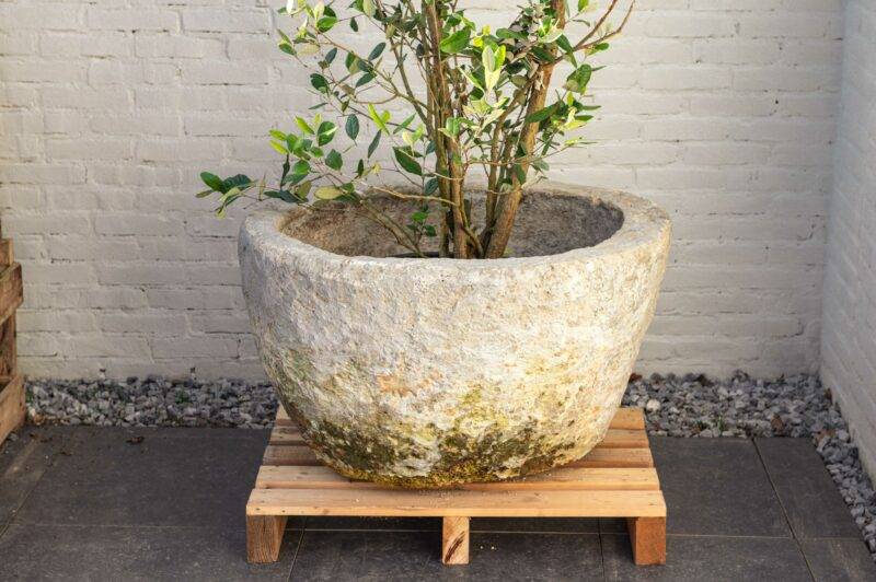 Grijze antieke jumbo model ronde plantenpot (52x84)