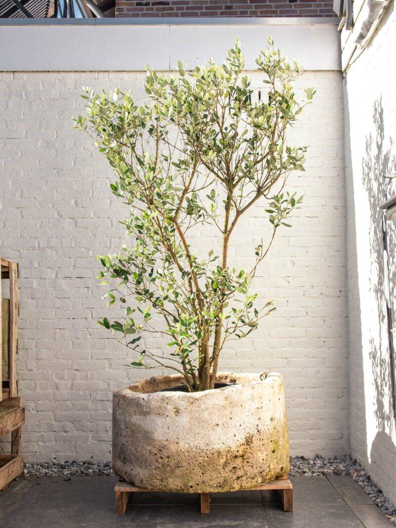 Jumbo natuurstenen pot beige rond (47x85) - Afbeelding 3
