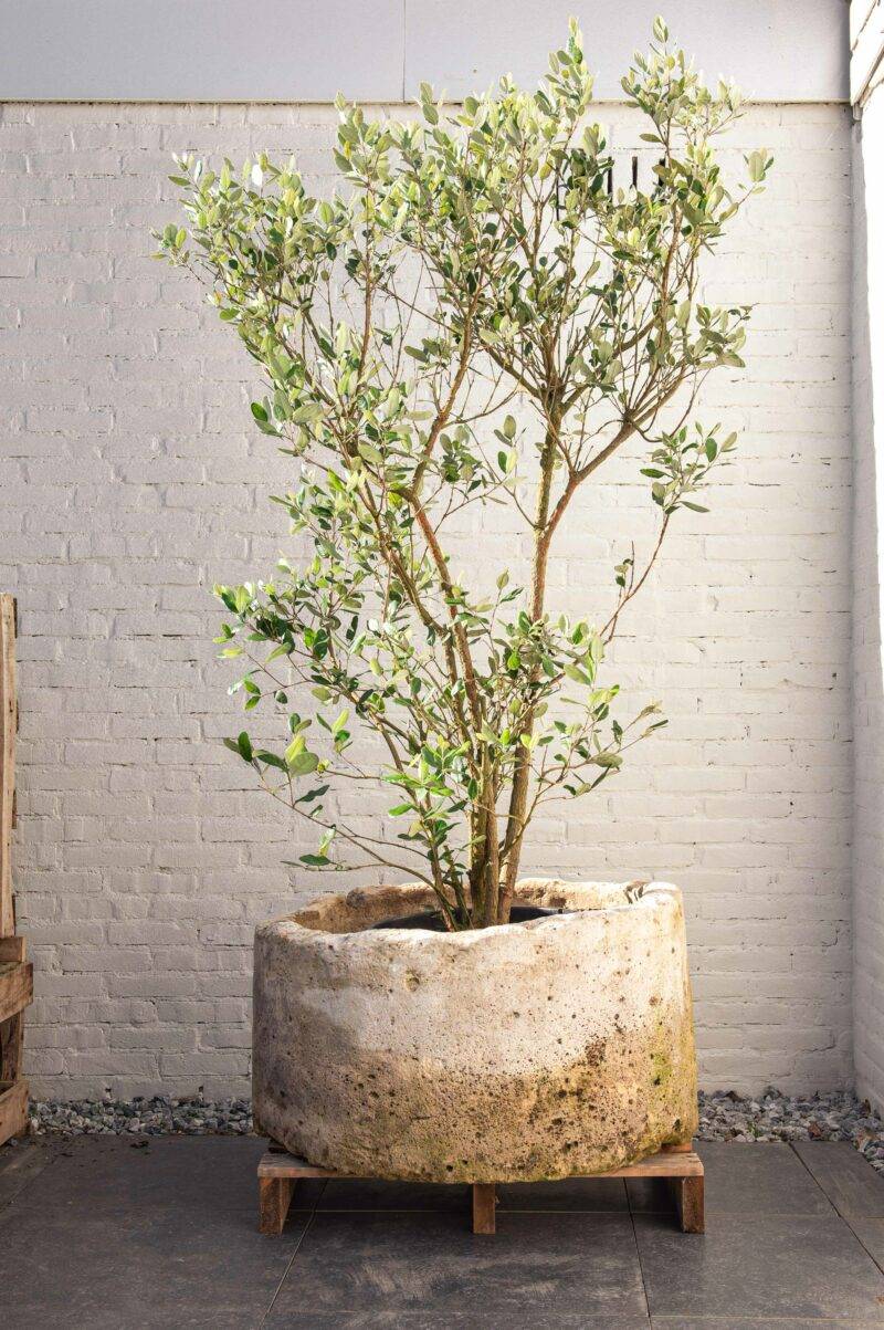 Jumbo natuurstenen pot beige rond (47x85) - Afbeelding 6